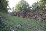 Img 251